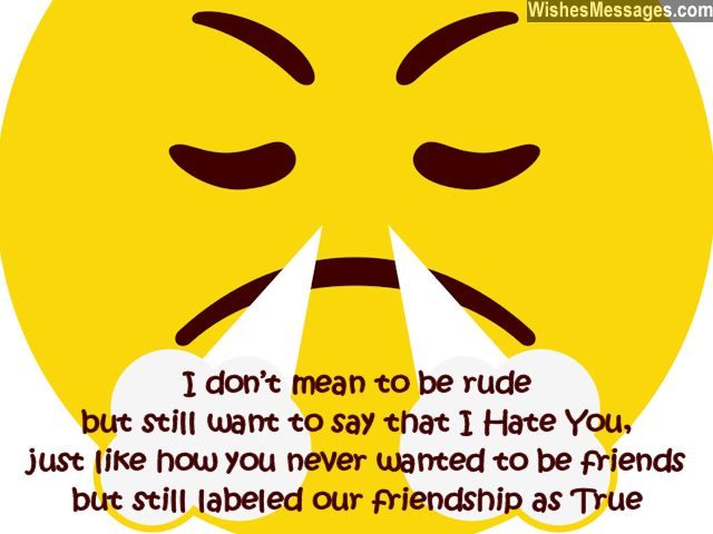 Sad Friendship Quotes I Hate You Messages For Friends