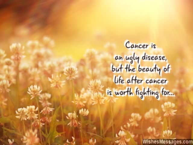 Motivation To Fight Cancer Beauty Of Life After Recovery 640x480 