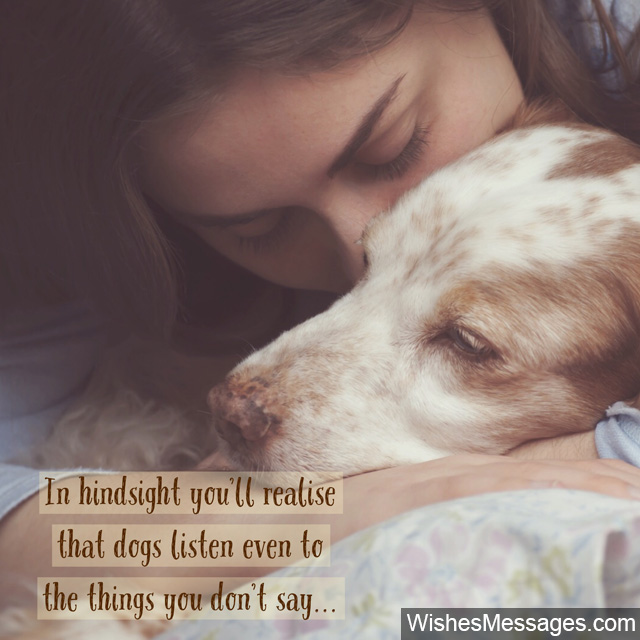 Sympathy Messages for Pets Condolence Quotes for Dogs, Cats and more